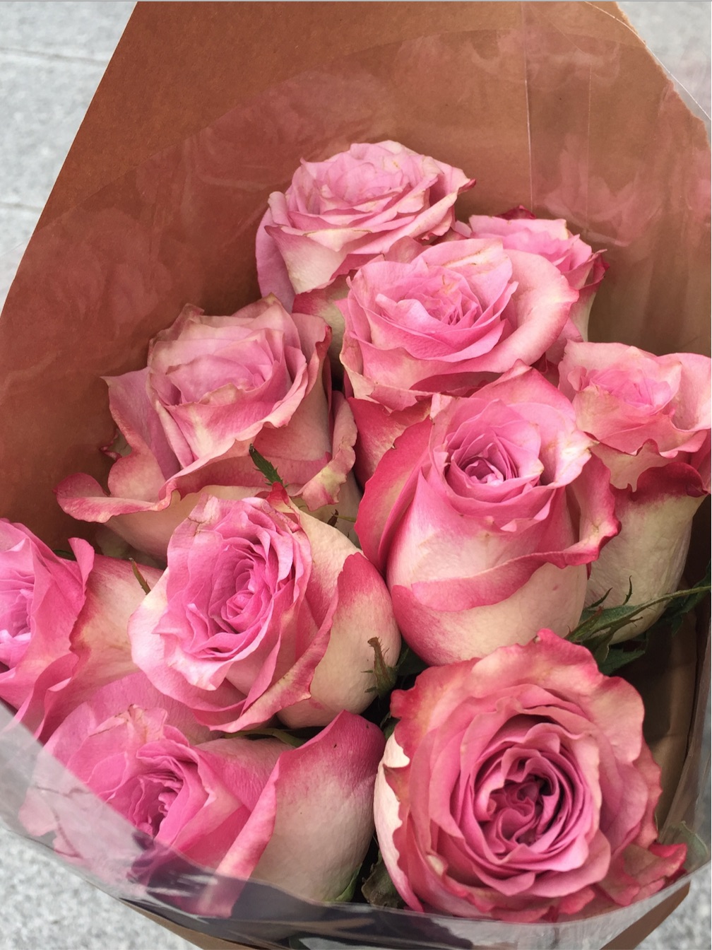 Roses